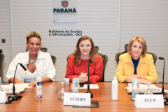 SEMIPI CRIAÇÃO CÂMARAS TÉCNICAS