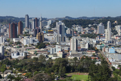 Estado participa da Expobel com palestras sobre sanidade agropecuária e prêmio de queijos