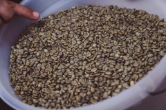 CAFÉ EXPOLONDRINA