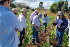 IDR REDE DE AGROPESQUISA