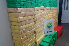 maconha