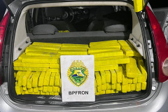 Batalhão de Fronteira da PMPR apreende mais de 500 kg de maconha em São Miguel do Iguaçu