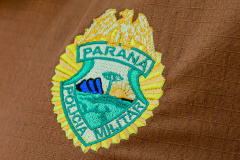 PM