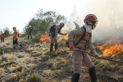 bombeiros