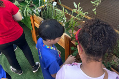 IAT promove a inclusão social e ambiental por meio dos jardins sensoriais
