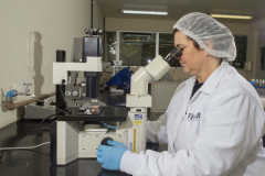 A revista científica Brazilian Archives of Biology and Technology (BABT), editada pelo Instituto de Tecnologia do Paraná (Tecpar), registrou um aumento de 20% na avaliação do CiteScore, um importante indicador de relevância de publicações científicas.