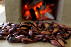 PINHÃO 
