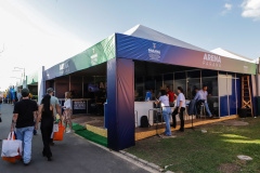 ARENA