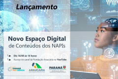 Fundação Araucária lançará espaço digital com informações acessíveis sobre os NAPIs
