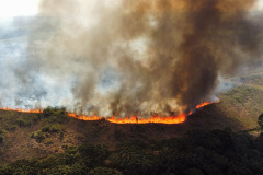 IAT ajuda a combater três novos focos de incêndio florestal no Paraná