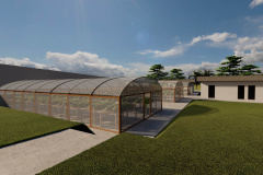 IDR-Paraná terá horto de plantas medicinais, aromáticas e condimentares