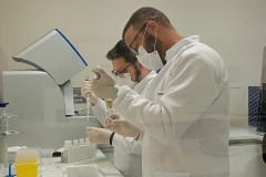 FUNDAÇÃO ARAUCÁRIA Mat Genomas SUS