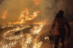BOMBEIROS Volta da 2ª equipe encerra missão paranaense no Pantanal