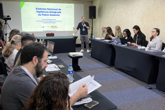 SESA REUNIÃO FEBRE AMARELA