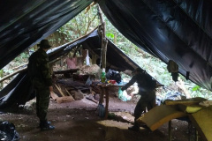  Instituto Água e Terra (IAT) e Batalhão de PolíciaAmbiental - Força Verde desmobilizaram um acampamento de caçadores quefuncionava dentro do Parque Estadual Pico do Marumbi.