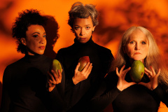 The Mango Tree