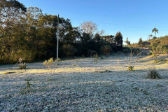 FRIO