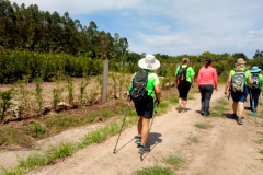 CAMINHADA