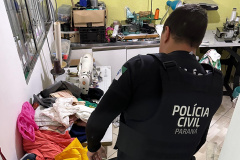 PCPR deflagra operação contra grupo de estelionatários que causou prejuízo de quase meio milhão de reais às vítimas