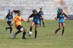 ESPORTE BOM DE BOLA