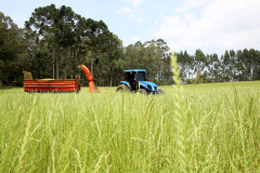 Governo renova Fundo de Aval Rural para garantia em financiamentos à agricultura familiar