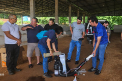 SESA CAPACITA DENGUE