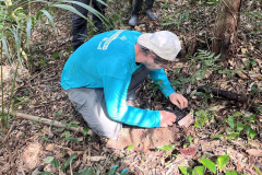 Portos do Paraná encerra outubro com atividades socioambientais no litoral do Estado