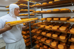 queijo