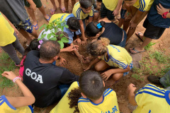 Ações elaboradas pelo IAT no Estado recuperaram mais de 6 hectares de mata ciliar em Áreas de Proteção Ambiental (APP)