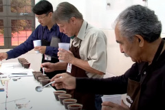 Na próxima terça-feira (12), o concurso Café Qualidade Paraná irá anunciar os vencedores deste ano em uma cerimônia no Mercado Municipal de Curitiba,