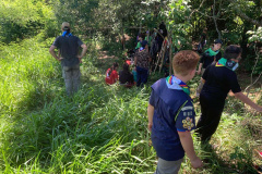 IAT vai recuperar quatro hectares de mata ciliar para comemorar o Dia do Rio