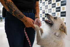FILÓ