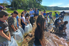 Na primeira fase do Rio Vivo, entre 2021 e 2022, foram soltos 1,1 milhão de peixes nativos no Iguaçu.