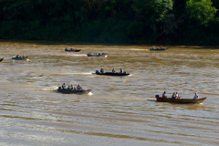 IAT - RIO VIVO