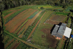 No Noroeste do Paraná, IAT organiza primeiro mutirão para regularização do CAR