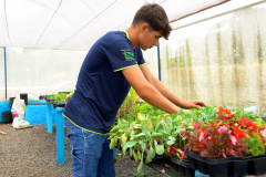 GANHANDO O MUNDO AGRO