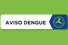 Saúde confirma 462 novos casos de dengue no Paraná