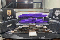 PCPR apreende 275 quilos de drogas em veículo que seguia para a Paraíba