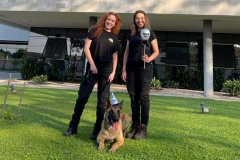 Conheça o Raman, primeiro integrante canino da Polícia Científica