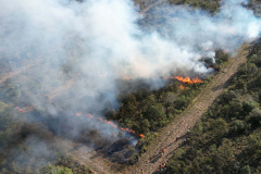 Com incêndios em alta, bombeiros registraram aumento de 10% no total de ocorrências em 2024