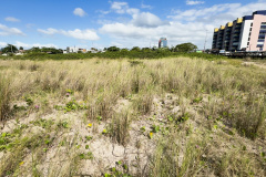 IAT EDUCAÇÃO AMBIENTAL PONTAL