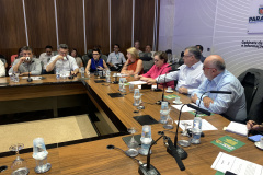 SESA COMITÊ INTERSETORIAL DA DENGUE