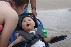 CADEIRA ANFÍBIA NOAH