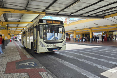 Mandirituba recebe mutirão para emissão do cartão de transporte metropolitano