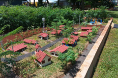 SANEPAR