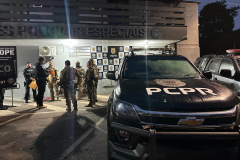 PCPR prende mulher durante operação contra organização criminosa especializada em furtos