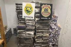 BPFRON e PF apreendem carreta carregada com quase 2,5 toneladas de substância análoga a maconha