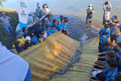 Superintendência Geral das Bacias Hidrográficas e Pesca/SEDEST