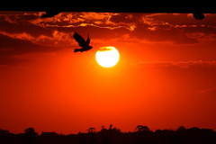 CHUVAS DIMINUEM, MAS CALOR CONTINUA EM MARÇO, AFIRMA SIMEPAR