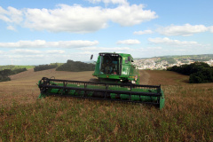 BOLETIM AGRO FEIJÃO